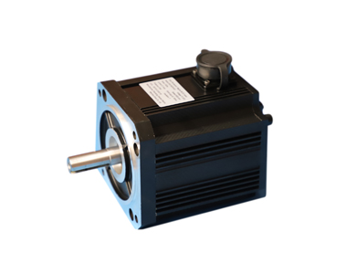 Universal Motor